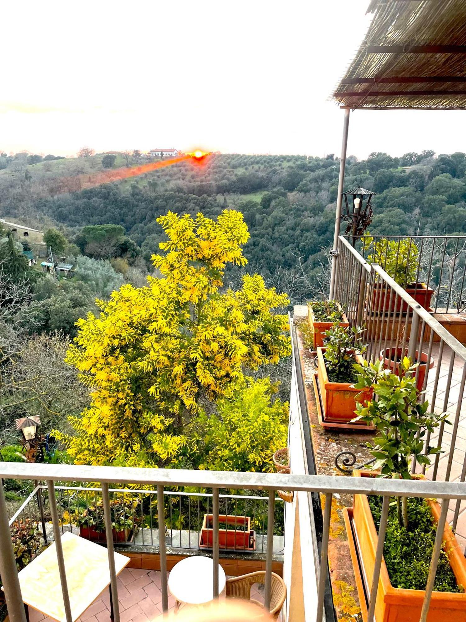 Ghigo La Locanda Di Torquato Montorgiali Εξωτερικό φωτογραφία